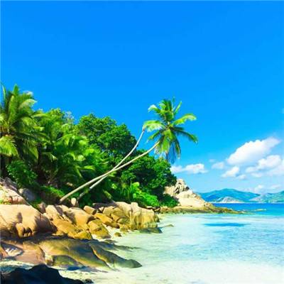 28网站手机app下载